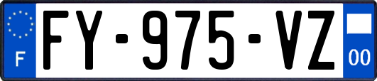 FY-975-VZ