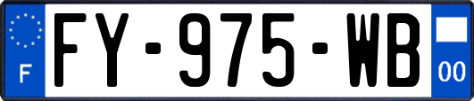 FY-975-WB