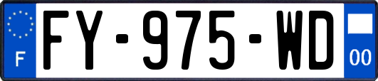 FY-975-WD