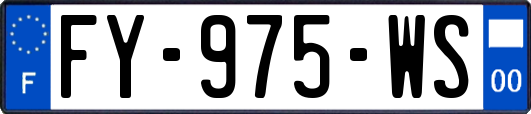FY-975-WS