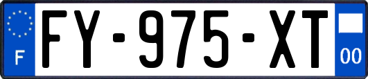 FY-975-XT