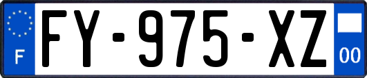 FY-975-XZ