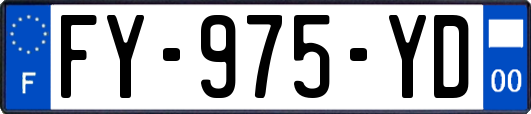 FY-975-YD