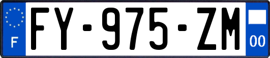 FY-975-ZM
