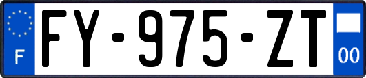 FY-975-ZT