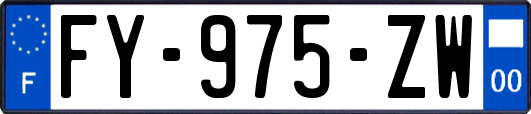 FY-975-ZW