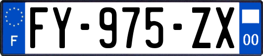 FY-975-ZX