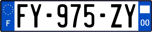 FY-975-ZY