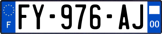 FY-976-AJ