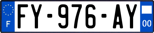FY-976-AY