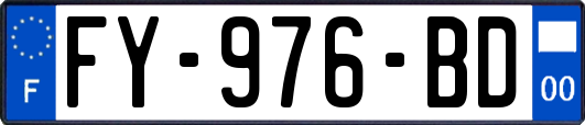 FY-976-BD