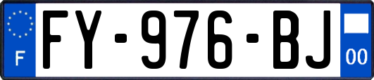 FY-976-BJ