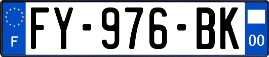 FY-976-BK
