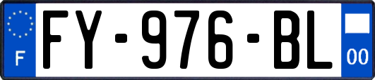 FY-976-BL