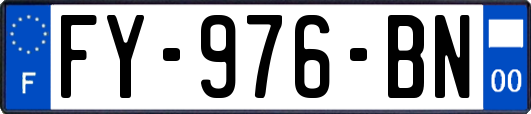 FY-976-BN