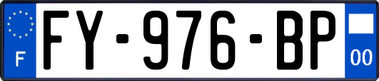 FY-976-BP