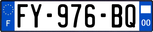 FY-976-BQ