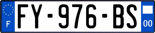 FY-976-BS