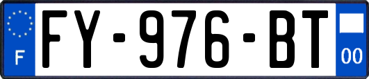 FY-976-BT