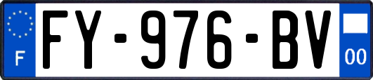 FY-976-BV