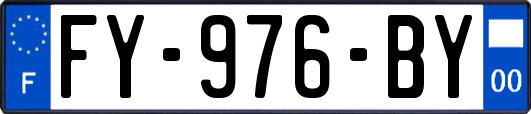 FY-976-BY