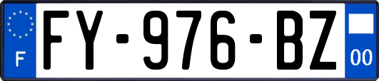 FY-976-BZ