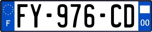 FY-976-CD