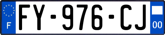 FY-976-CJ