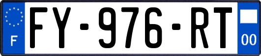 FY-976-RT
