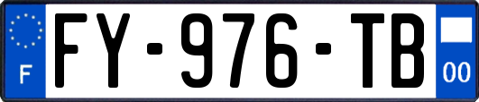 FY-976-TB