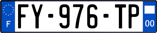 FY-976-TP