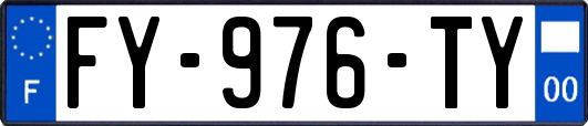FY-976-TY