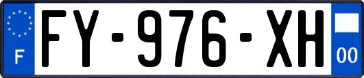 FY-976-XH
