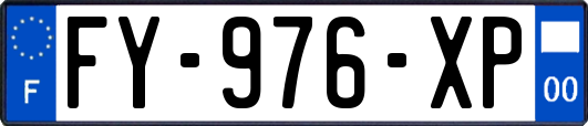 FY-976-XP