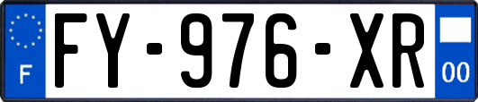 FY-976-XR