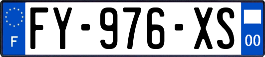 FY-976-XS