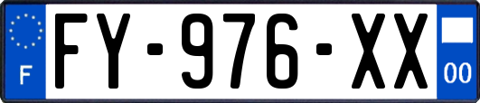 FY-976-XX