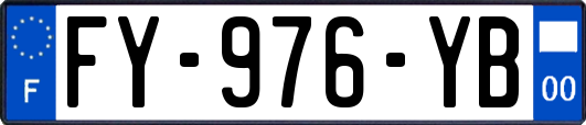 FY-976-YB