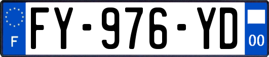 FY-976-YD