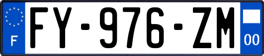 FY-976-ZM