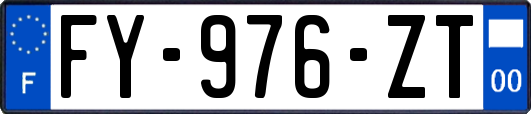 FY-976-ZT