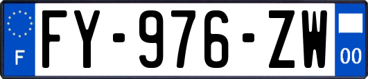 FY-976-ZW