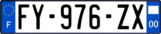 FY-976-ZX