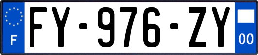 FY-976-ZY