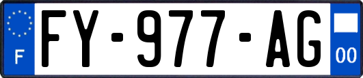 FY-977-AG