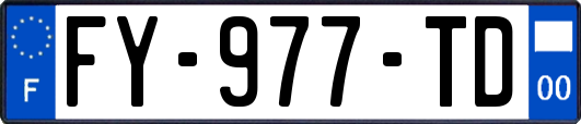 FY-977-TD