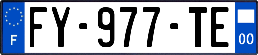 FY-977-TE
