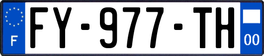 FY-977-TH