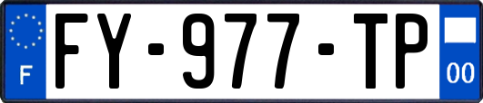 FY-977-TP