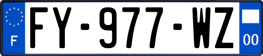 FY-977-WZ